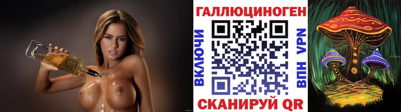 Купить  Инза  Галлюциногенные грибы Psilocybine cubensis 
